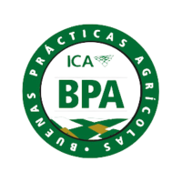 IM LOGO BPA EXPORT LMYR