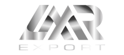 LOGO 400PX PLATEADO EXPORT LMYR